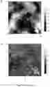Fig. 17 - Conducting coatings for anodes, methods of making and using same, and uses thereof