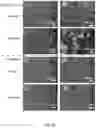 Fig. 25 - Conducting coatings for anodes, methods of making and using same, and uses thereof