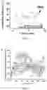Fig. 26 - Conducting coatings for anodes, methods of making and using same, and uses thereof