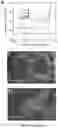 Fig. 27 - Conducting coatings for anodes, methods of making and using same, and uses thereof