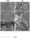 Fig. 28 - Conducting coatings for anodes, methods of making and using same, and uses thereof