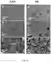 Fig. 30 - Conducting coatings for anodes, methods of making and using same, and uses thereof
