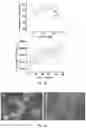 Fig. 31 - Conducting coatings for anodes, methods of making and using same, and uses thereof