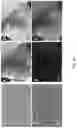 Fig. 32 - Conducting coatings for anodes, methods of making and using same, and uses thereof