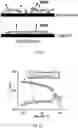 Fig. 36 - Conducting coatings for anodes, methods of making and using same, and uses thereof
