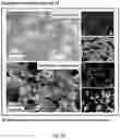 Fig. 53 - Conducting coatings for anodes, methods of making and using same, and uses thereof