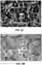 Fig. 05 - HIGH CAPACITY BATTERY ELECTRODE STRUCTURES