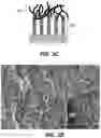 Fig. 08 - HIGH CAPACITY BATTERY ELECTRODE STRUCTURES
