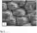 Fig. 04 - GAS DIFFUSION ELECTRODE AND USE THEREOF