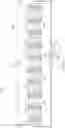 Fig. 11 - FLOW-THROUGH ELECTROCHEMICAL CELL