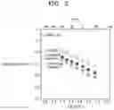 Fig. 03 - SOLID ION CONDUCTOR COMPOUND, SOLID ELECTROLYTE COMPRISING  THE SAME, ELECTROCHEMICAL CELL COMPRISING THE SAME, AND  METHOD OF PREPARING THE SAME