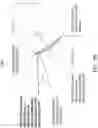Fig. 06 - Reducing reflector antenna spillover lobes and back lobes in satellite communication systems