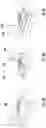 Fig. 08 - Antenna system including a polymer composition having a low dissipation factor