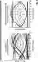 Fig. 05 - Device having non-linear filter