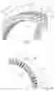 Fig. 03 - Stator for a rotating electrical machine
