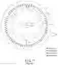 Fig. 12 - Armature winding of rotating electrical machine, and rotating electrical machine