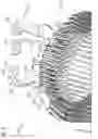 Fig. 05 - Interconnection assembly and stator for an electrical machine