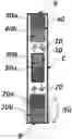 Fig. 01 - System for generating a linear movement