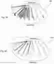 Fig. 25 - DYNAMIC BUILDING-INTEGRATED PHOTOVOLTAICS (DBIPV) USING SOLAR TREES AND SOLAR SAILS AND THE LIKE