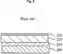 Fig. 06 - Method of manufacturing a piezoelectric thin film
