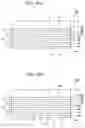 Fig. 04 - Bonded body and acoustic wave element