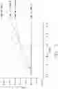 Fig. 03 - High voltage shifters