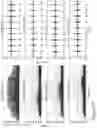 Fig. 13 - Methods and systems relating to ultra wideband transmitters