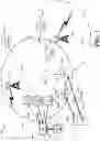 Fig. 02 - Identifying signal interference sources