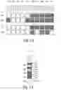 Fig. 09 - Time-varying allocation to RF-based presence detection and/or localization and message reception