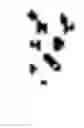 Fig. 23 - Encryption device, decryption device, encryption method, decryption method, and computer program products