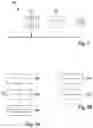 Fig. 02 - Apparatus for transmitting data over a bus system and operating method for that purpose