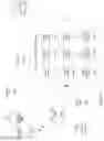Fig. 02 - Dynamic market data filtering