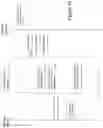 Fig. 14 - Instant messaging interoperability between disparate service providers