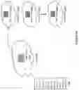 Fig. 06 - FIREWALL RULE SET COMPOSITION AND DECOMPOSITION