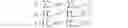 Fig. 06 - Anonymous collection of data from a group of entitled members
