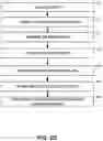 Fig. 04 - Invoking an automatic process in a web-based target system using a chat-bot