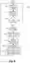 Fig. 09 - SEMIAUTOMATED RELAY METHOD AND APPARATUS