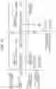 Fig. 14 - Image forming apparatus
