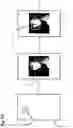 Fig. 15 - Method of printing authentication indicators with amplitude modulated halftone printing