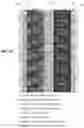 Fig. 03 - Perfless and cadenceless scanning and digitization of motion picture film