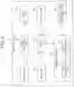 Fig. 09 - INFORMATION PROCESSING APPARATUS AND INFORMATION PROCESSING SYSTEM