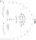 Fig. 07 - Synchronous head movement (SHMOV) detection systems and methods