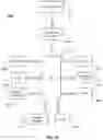 Fig. 11 - Transferring preview streams of cameras