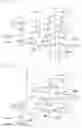 Fig. 12 - Photodetection device and electronic apparatus