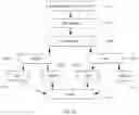 Fig. 17 - Systems and methods for instant serverless video chat with pre-loaded content
