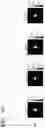 Fig. 46 - Apparatus and method of acquiring image by employing color separation lens array
