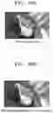 Fig. 50 - Apparatus and method of acquiring image by employing color separation lens array