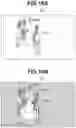 Fig. 11 - Image processing apparatus, image processing method, and storage medium