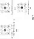 Fig. 17 - Chroma coding enhancement in cross-component sample adaptive offset