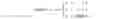 Fig. 04 - Method and apparatus of latency reduction for chroma residue scaling